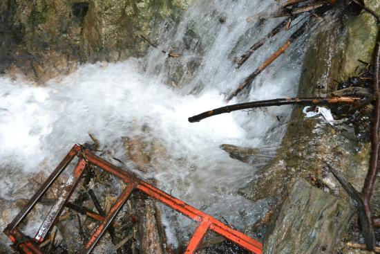 Parc Aventura Brasov